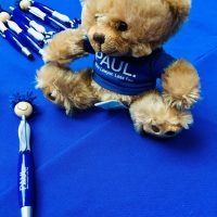 Teddy bear day of kings 2019