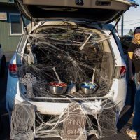 Decorated vehicle trunk or treat