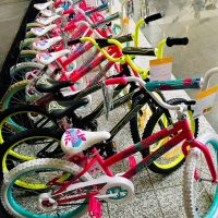 Bicycle Lineup Day of Kings 2019