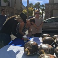 Approaching participants 2017 Thanksgiving Turkey Giveaway