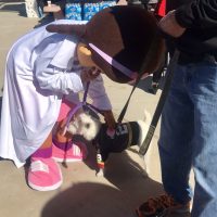 Costume-wearer and dog