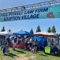 Adoption Village banner
