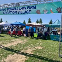 Adoption Village banner 2