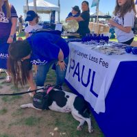 Paul Powell merchandise and dog