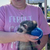 Woman holding a pet