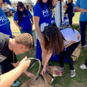 A group of people wearing Law Firm branded shirts interact with a friendly dog at a community event in Las Vegas, likely promoting their personal injury services.
